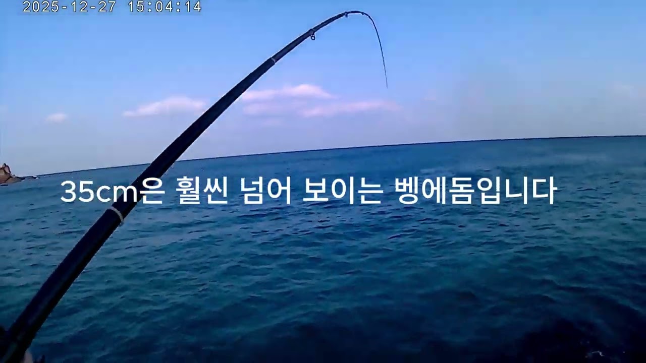 기록 갱신 벵에돔 돨 뻔!!!학꽁치 낚시에 대물 벵에돔이?!?!?!