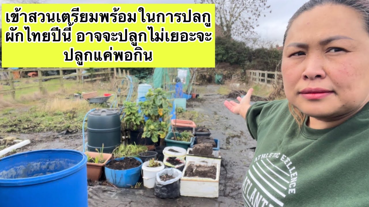 เข้าสวนเตรียมพร้อมในการปลกูผักไทยปีนี้ อาจจะปลูกไม่เยอะจะปลูกแค่พอกิน