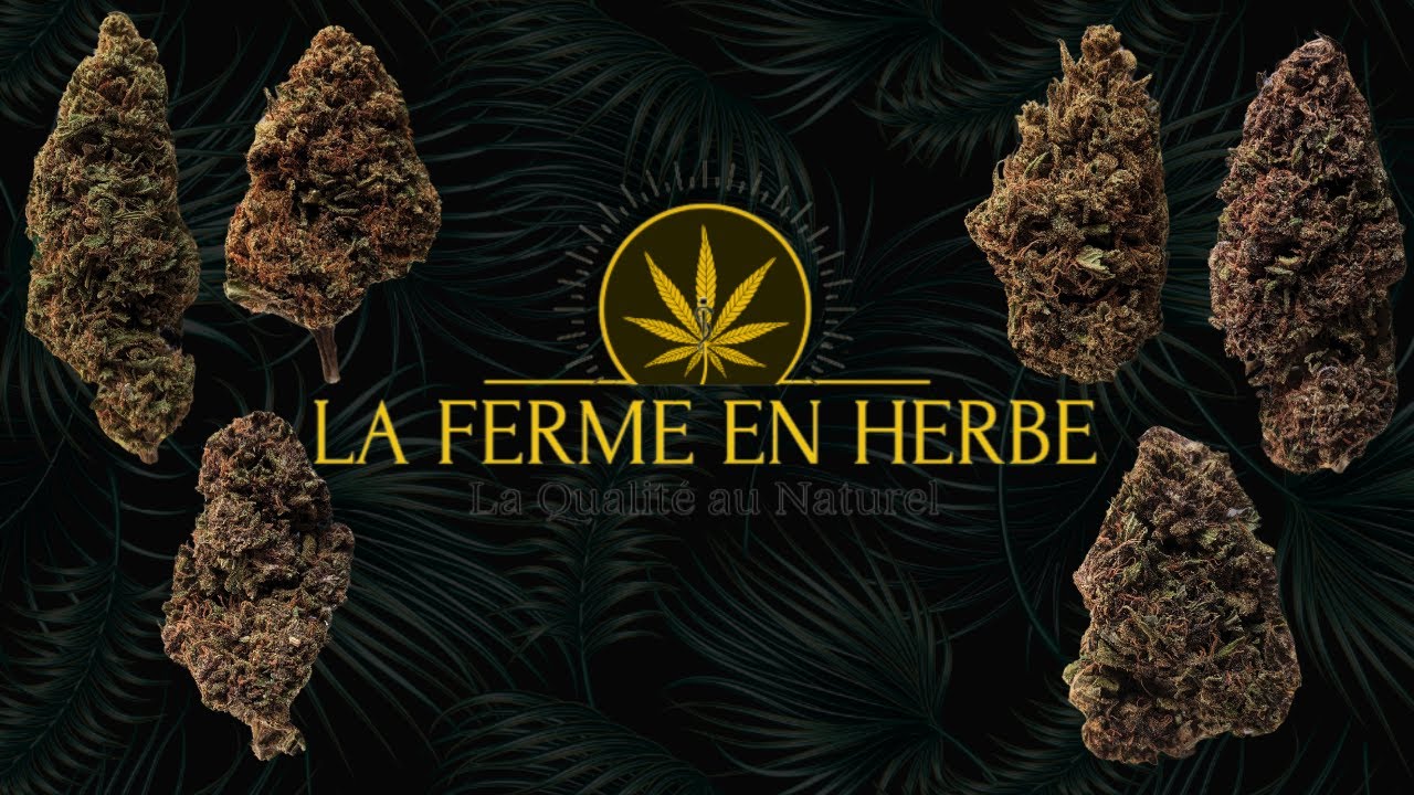 UNBOXING LA FERME EN HERBE | FLEURS 2024-2025