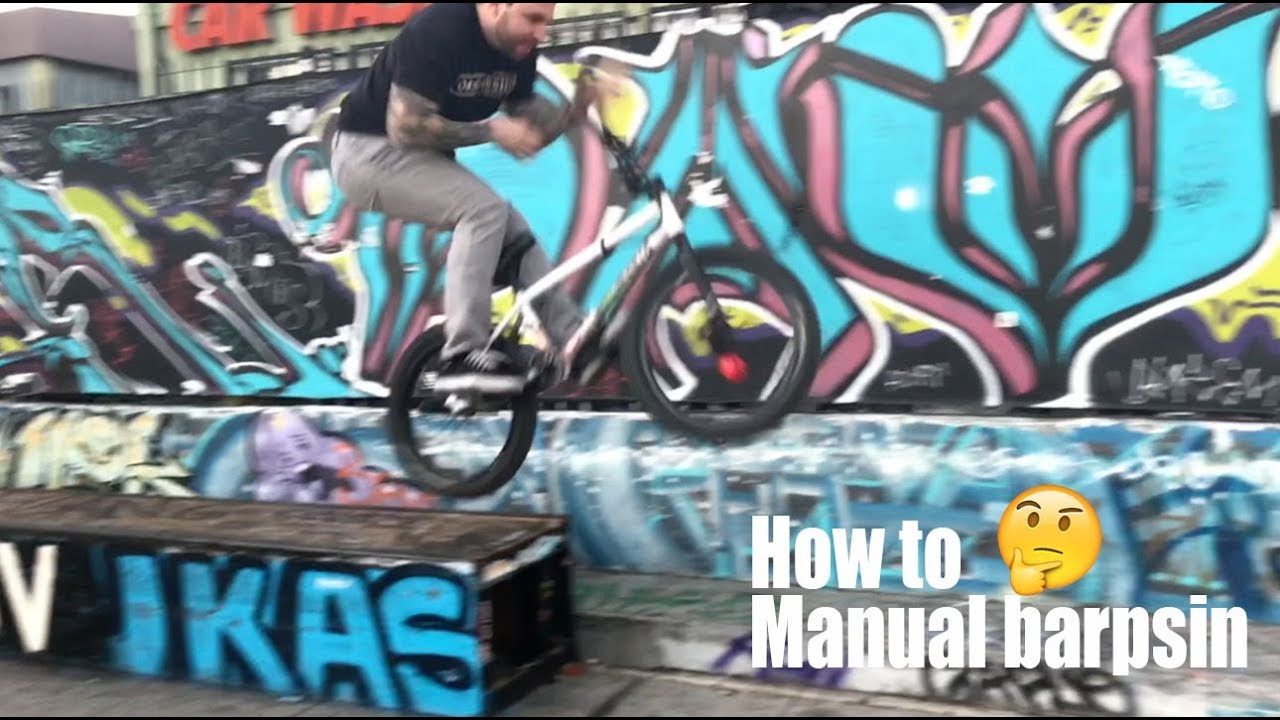 HOW TO MANUAL TO BARPSIN!