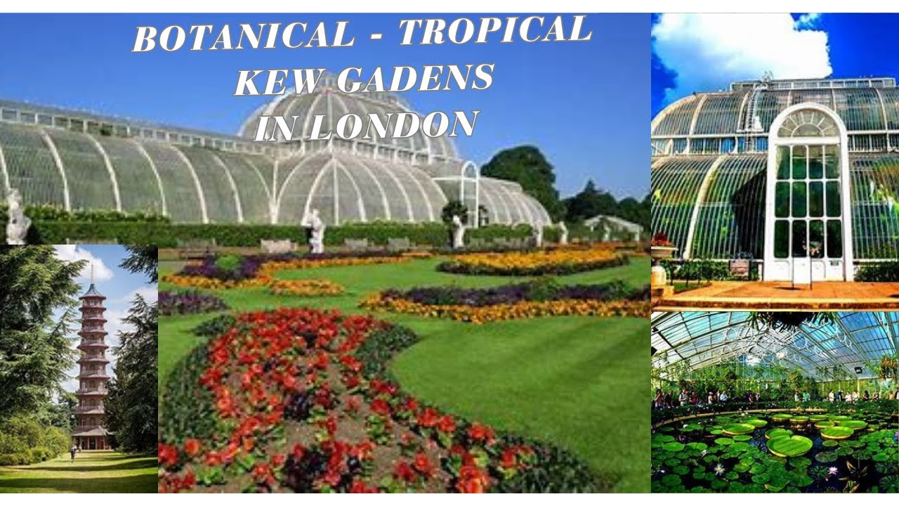 Kew Gardens, Royal Botanic and Topical Gardens, is a World-renowned Garden in London.