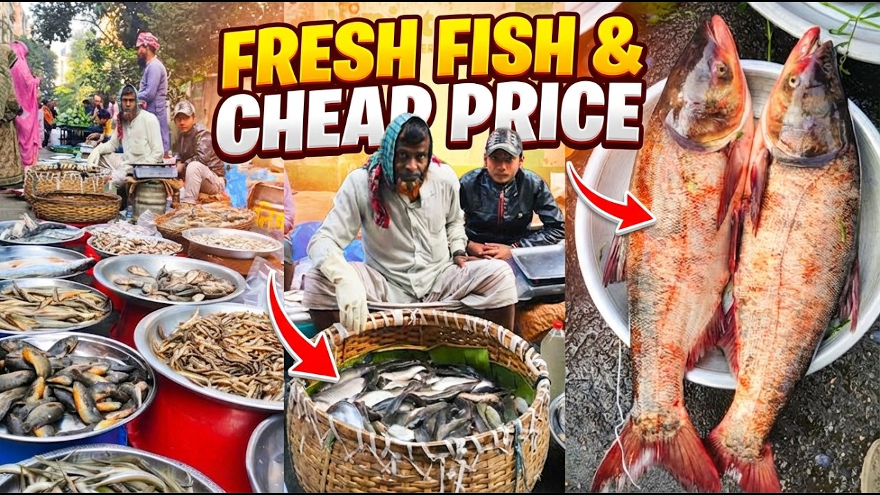 রাজধানীর সেরা মাছের বাজার | Best Fish Market In Dhaka #fishmarket
