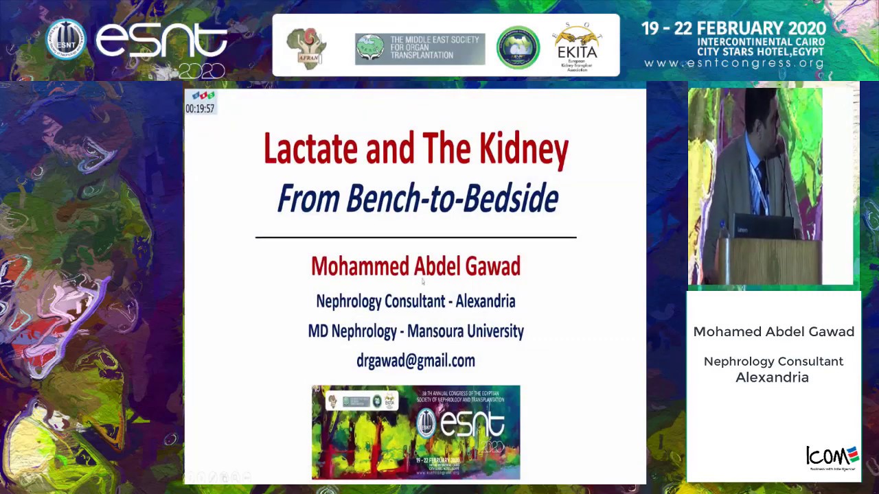 Lactate and the kidney: from bench-to-bedside. Dr. Mohamed Abdel Gawad