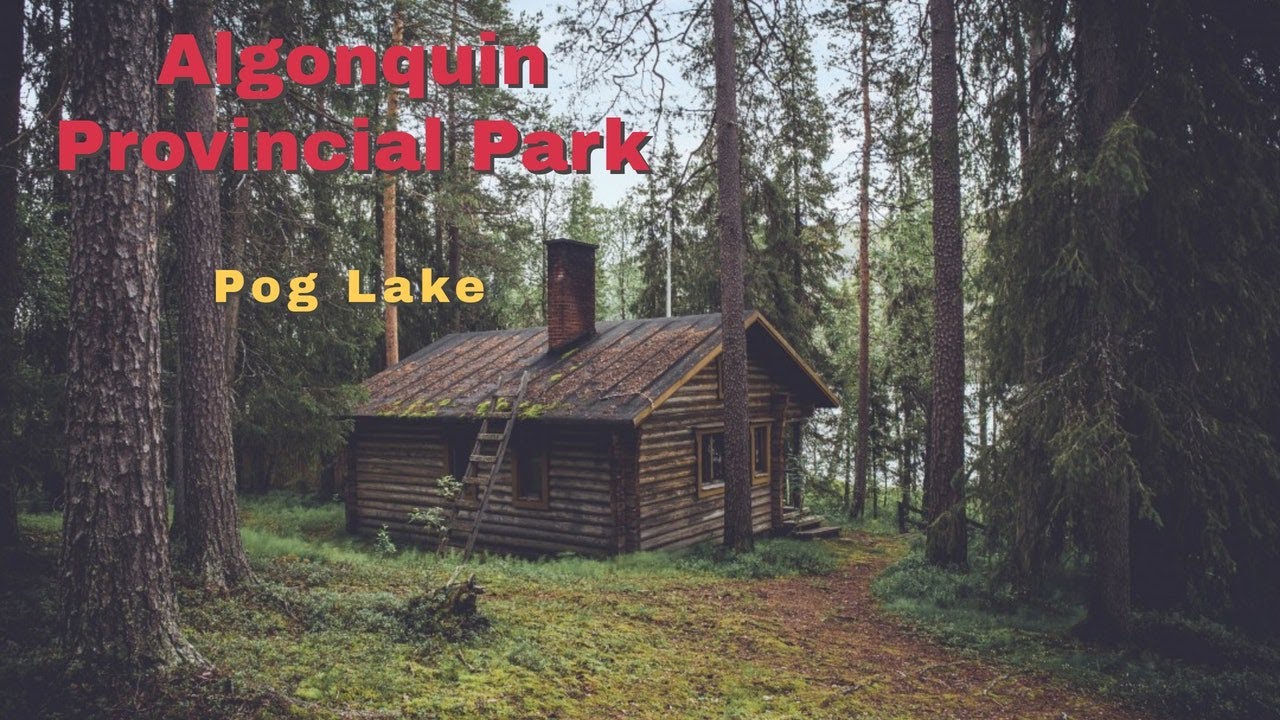 Ontario Camping Algonquin Provincial Park Pog Lake Campground