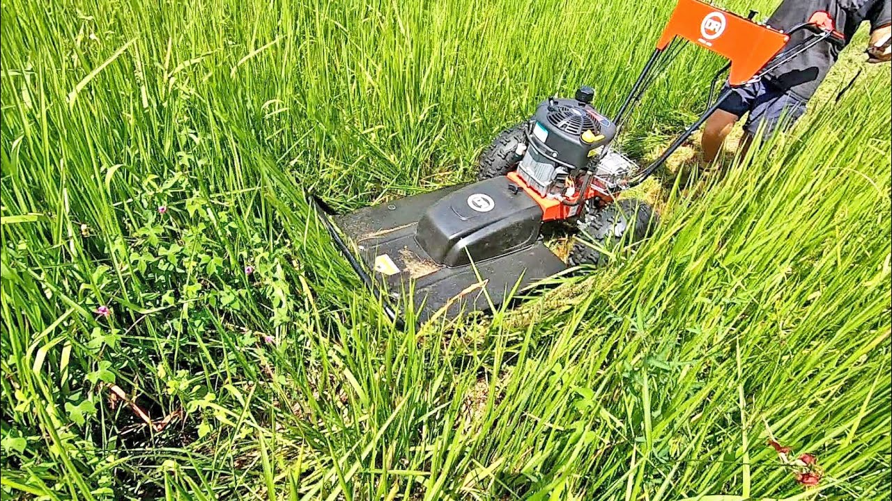 Real time summer brush mowing thick field grass with the DR Brush Mower