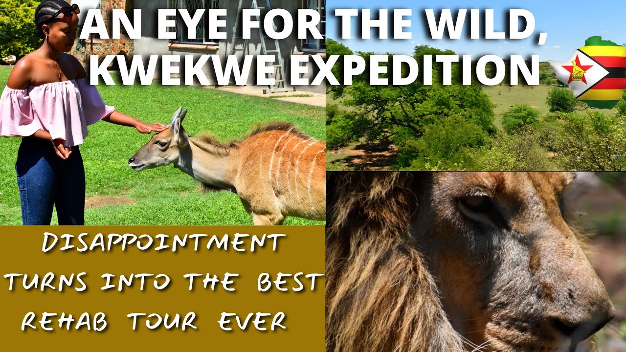 Ep11|S1| A hidden gem to visit in Kwekwe, Zimbabwe| An Eye For The Wild| Zimbabwe Vlog| Zim Vlog|
