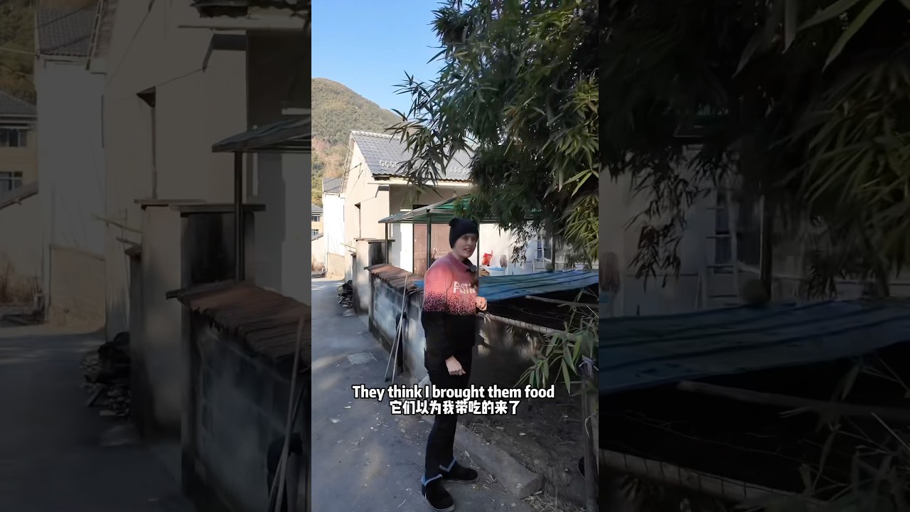 American living in rural China 🎋 TOUR MY VILLAGE!