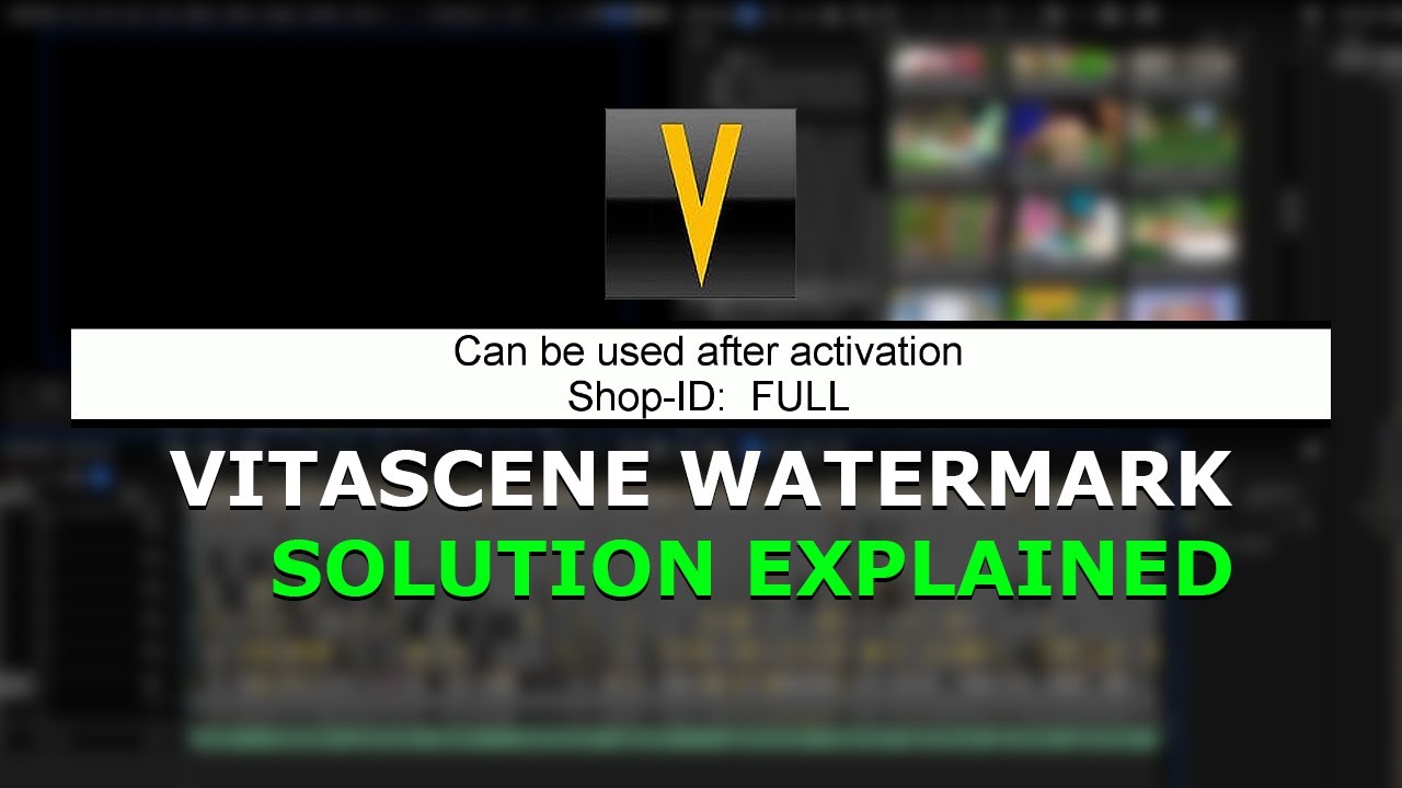 EDIUS 11 Pro Vitascene Watermark Solution - Explained