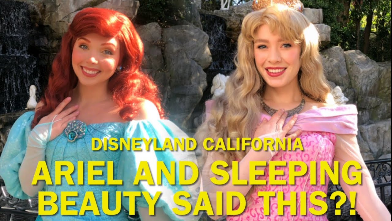 Ariel and Sleeping Beauty Said THIS?! Amazing Meet and Greets, Disneyland #disney