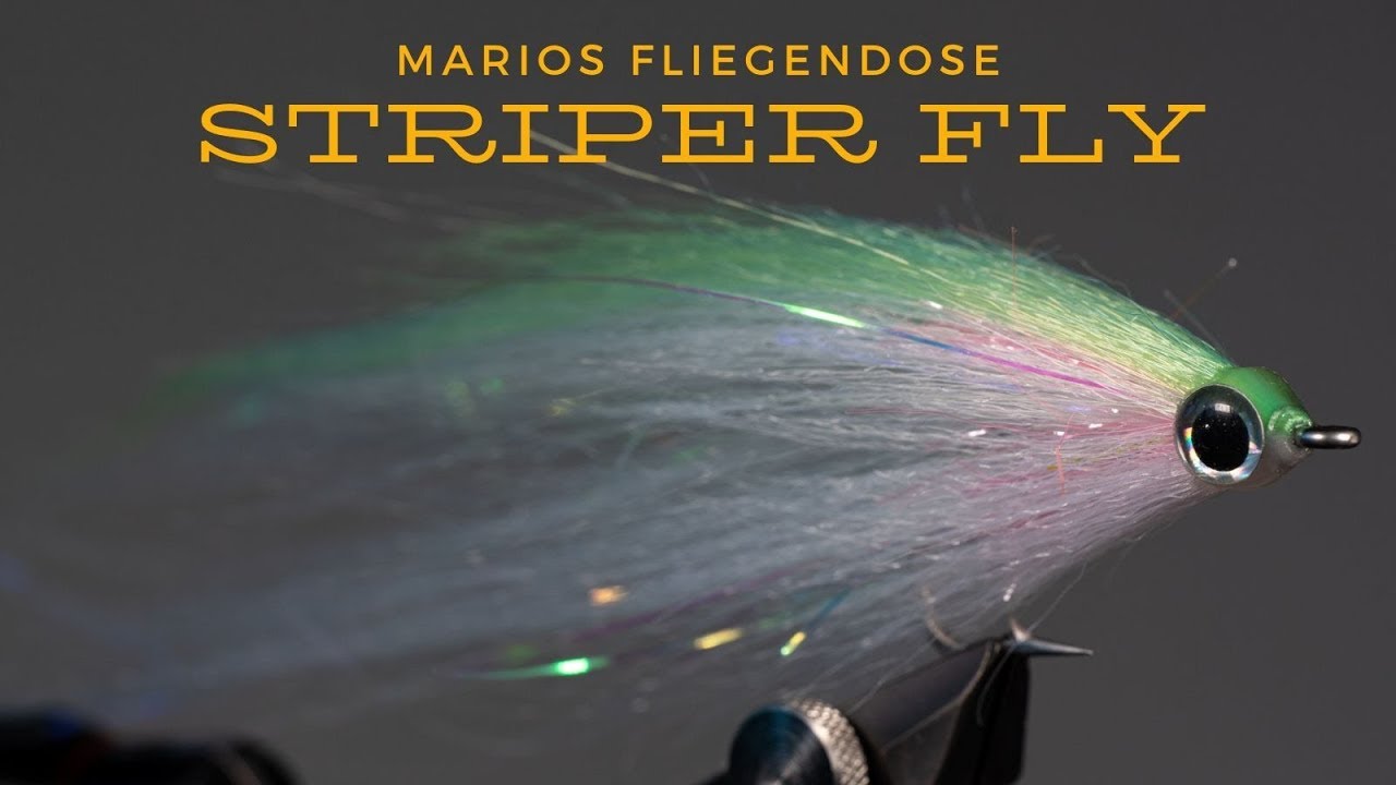 Marios Fliegendose - Heringsfliege für Striper / Striped Bass / Wolfsbarsch