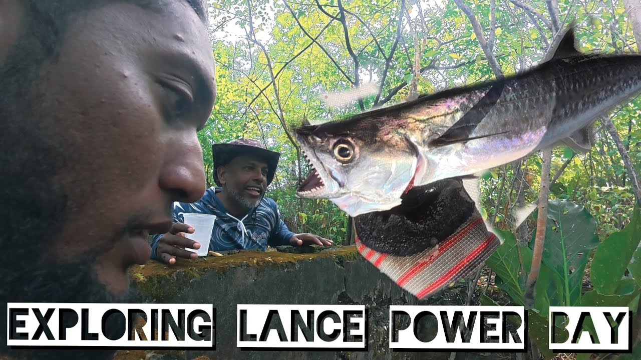 Exploring LancePower and Its Architecture History | Caught a Kingfish on a Banking Rig 