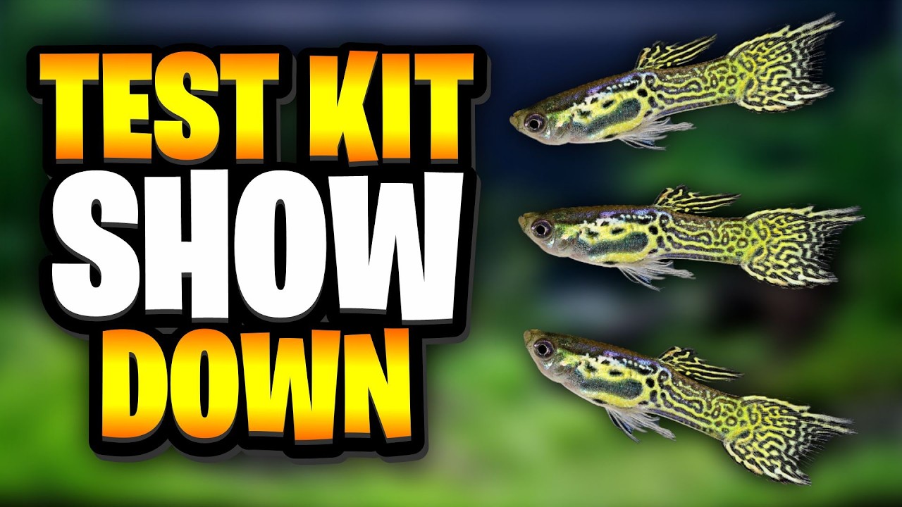 Сравнение наборов для тестирования аквариумных принадлежностей &ndash; API против NT Labs!
