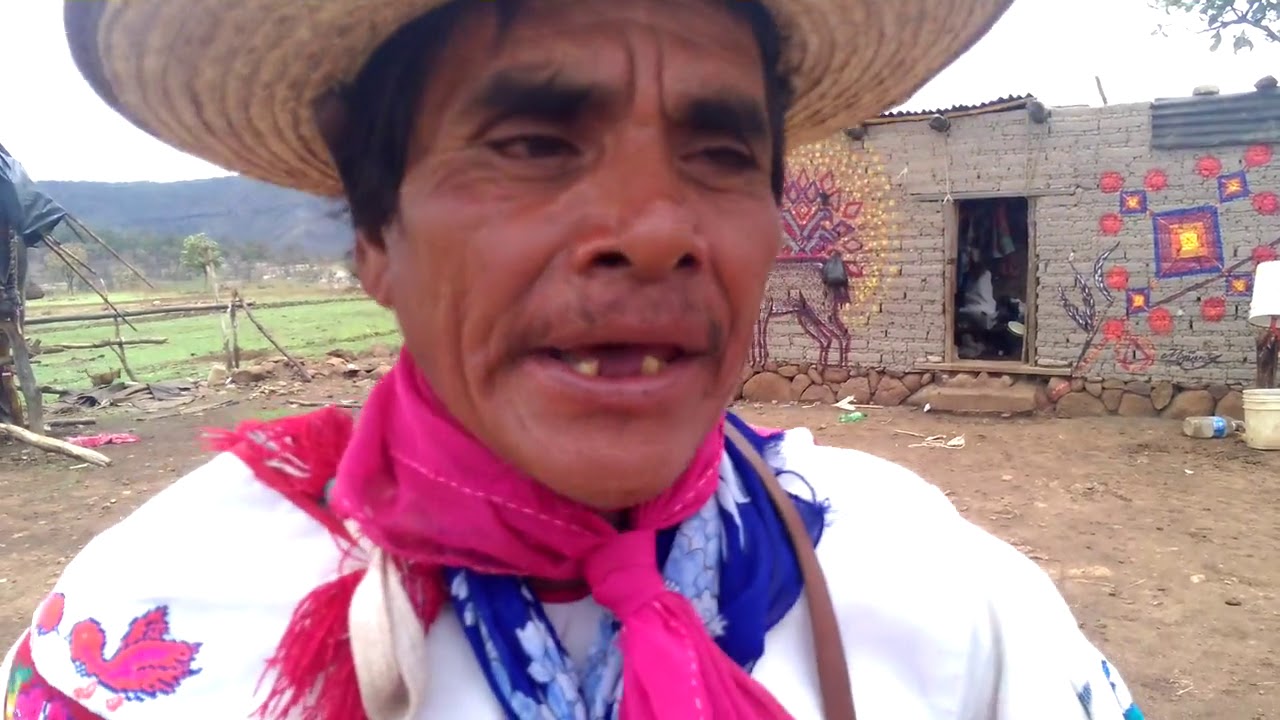 Wixáritari (Huichol) Peyote Song