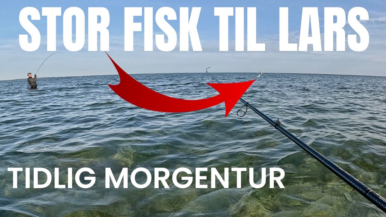 Tidlig morgentur - Stor fisk til Lars