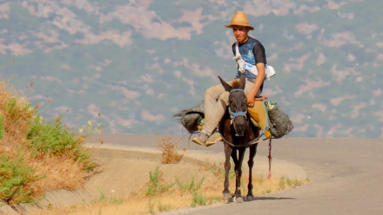 Roadtrip Spanje, Portugal en Marokko
