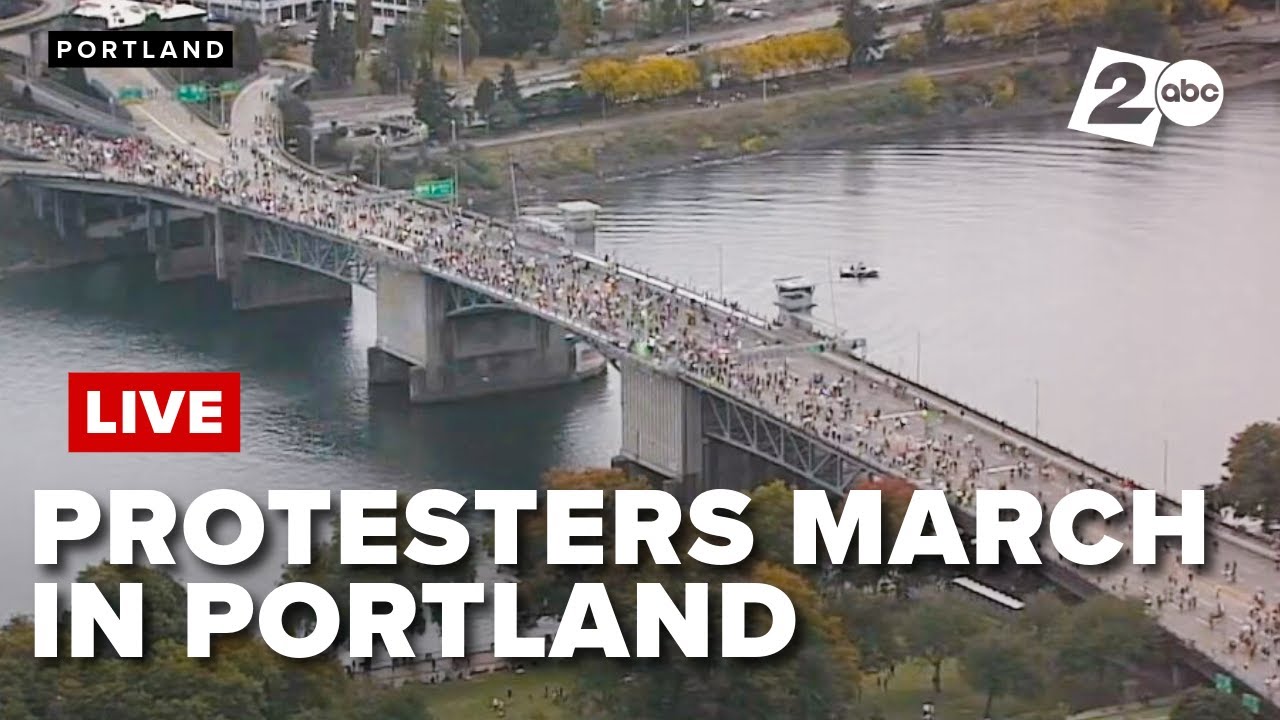WATCH | Aerial view of protesters marching in Portland for 'No Kings' rally