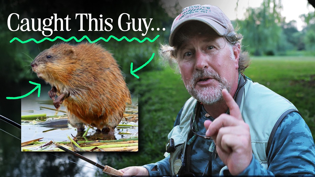 I Didn't Mean to Catch A Muskrat... OMG!