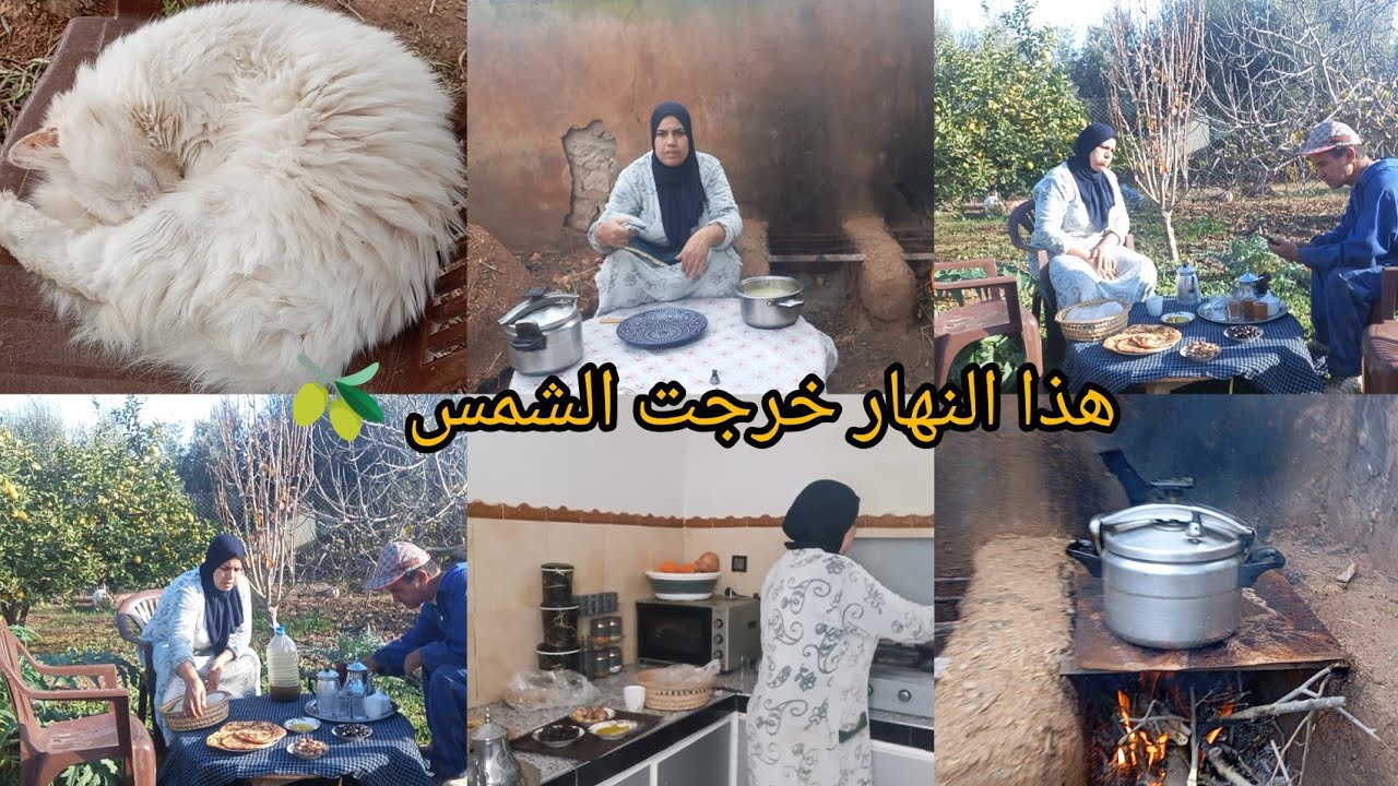 هذا النهار ما فيهش الراحه كل شيء غادي يخدم وحتى الضياف ديالي 🫒💪🏻