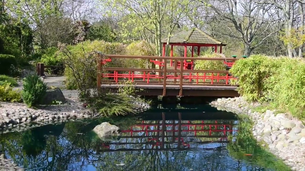 When Spring is Coming at Peasholm Park, Scarborough