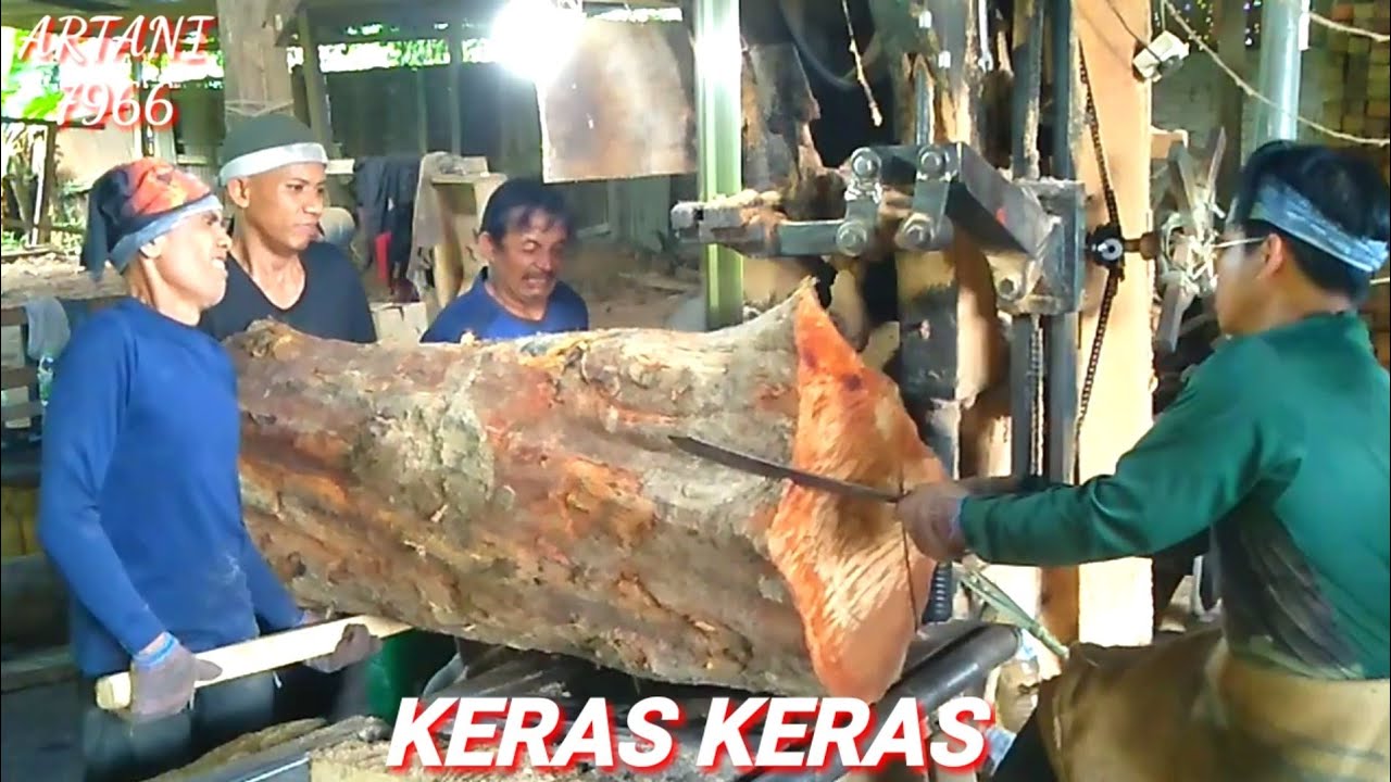 KAYU RAMBUTAN KERAS