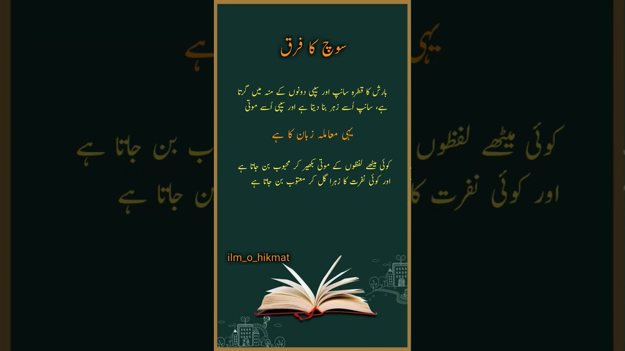 Zindagi ke Sabaq | Sabaq Amoz Aqwal-e-Zareen #poetry #urduquotes #quotes