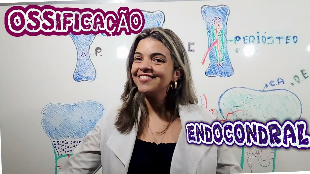 Ossificação Endocondral #todas as etapas da #endocondral