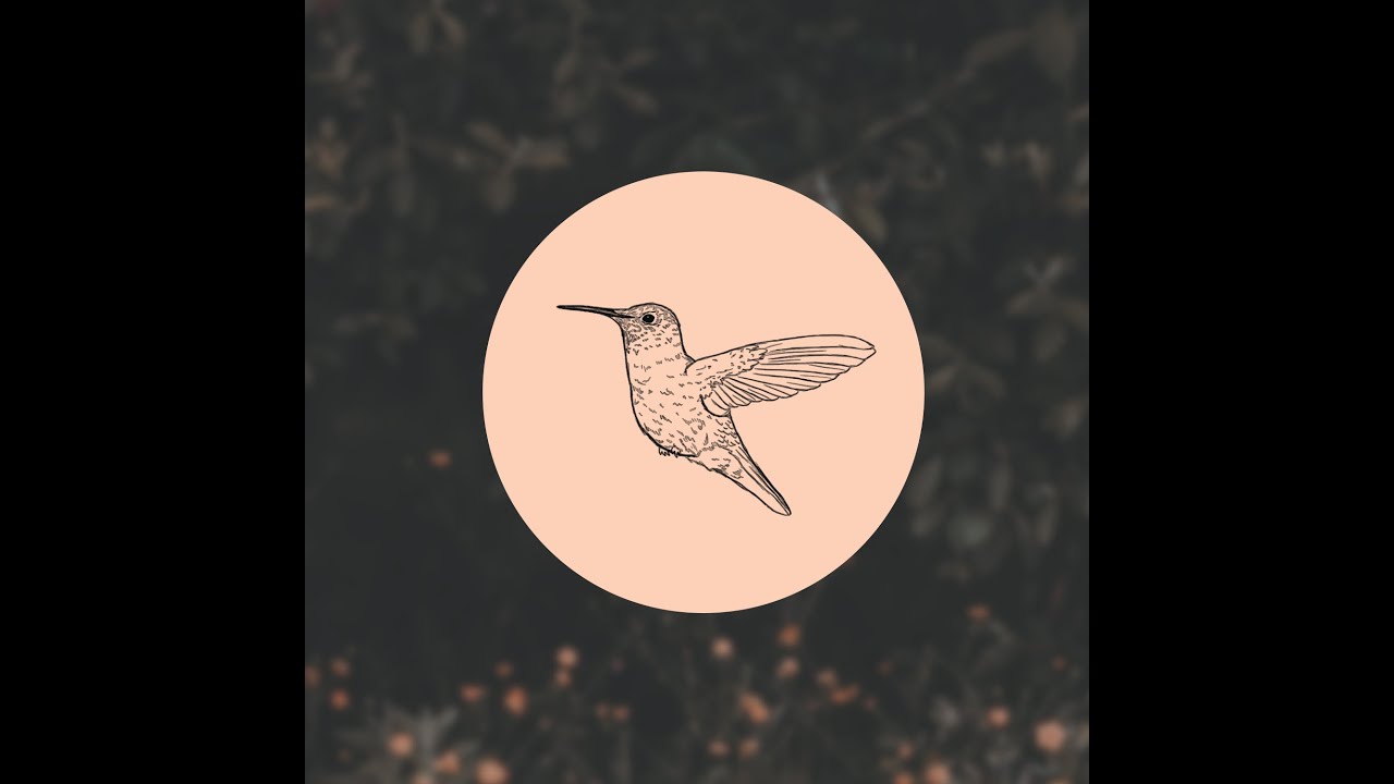 『編集』ハチドリさんの気楽な生活