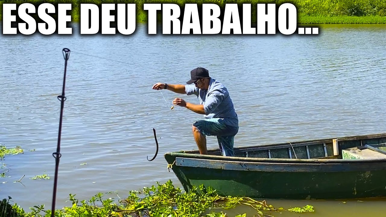 Pescaria para Passar o Dia -  CANAL DAS GARÇAS CANOAS/RS