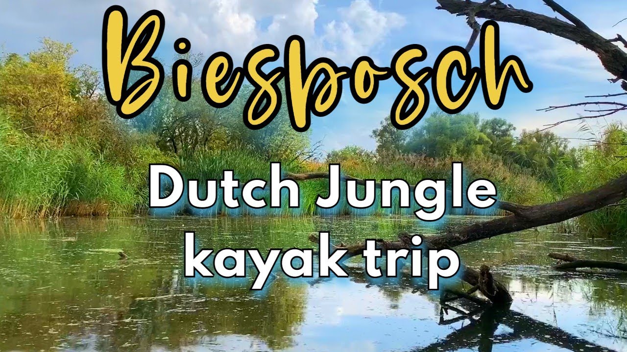 Kajaktocht in De Biesbosch met ONWEER