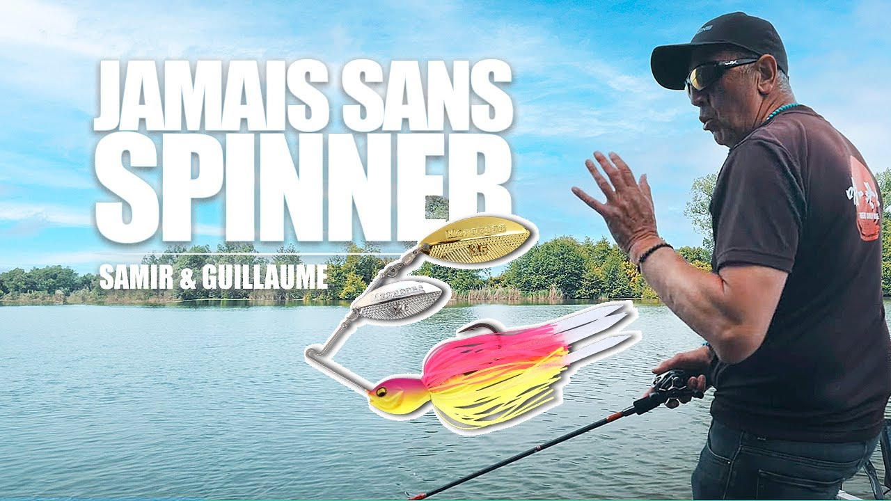 Tout savoir sur la pêche au Spinner Bait