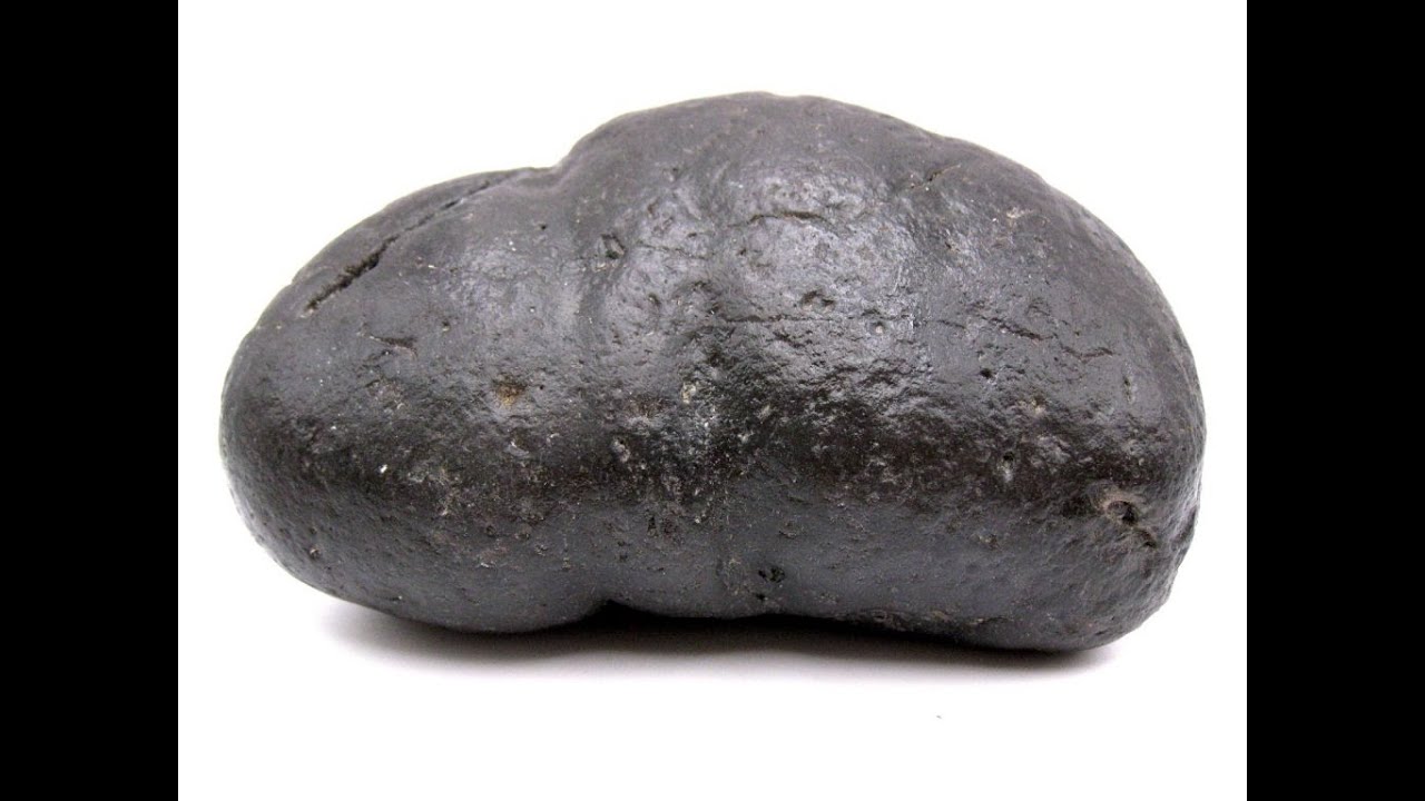 Fossil Coprolite (Fossil Poop)