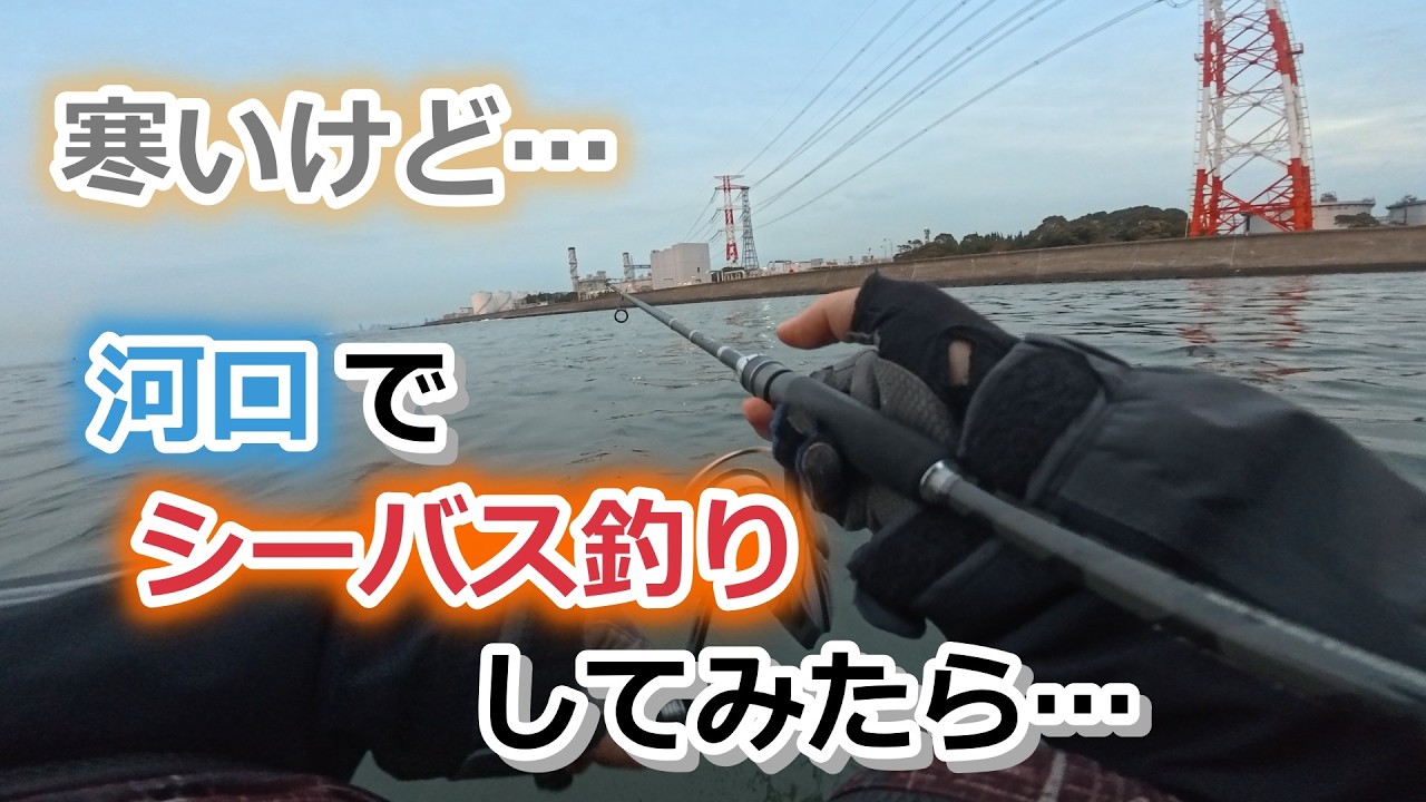 寒いけど…河口でシーバス釣りしてみたら…【2026年2月14日】