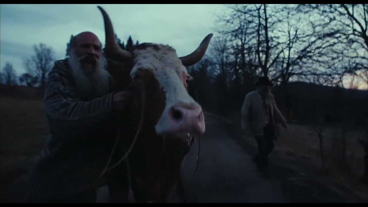 Better Go Mad in the Wild - trailer | Officiële Selectie Filmfestival Oostende 2026