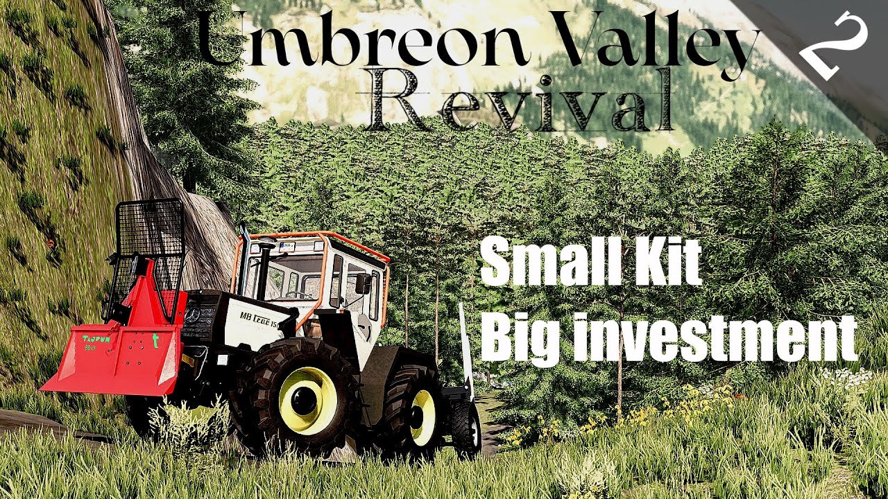FS 22 | Umbreon Valley Revival | #2 | Small Kit, Big Investment