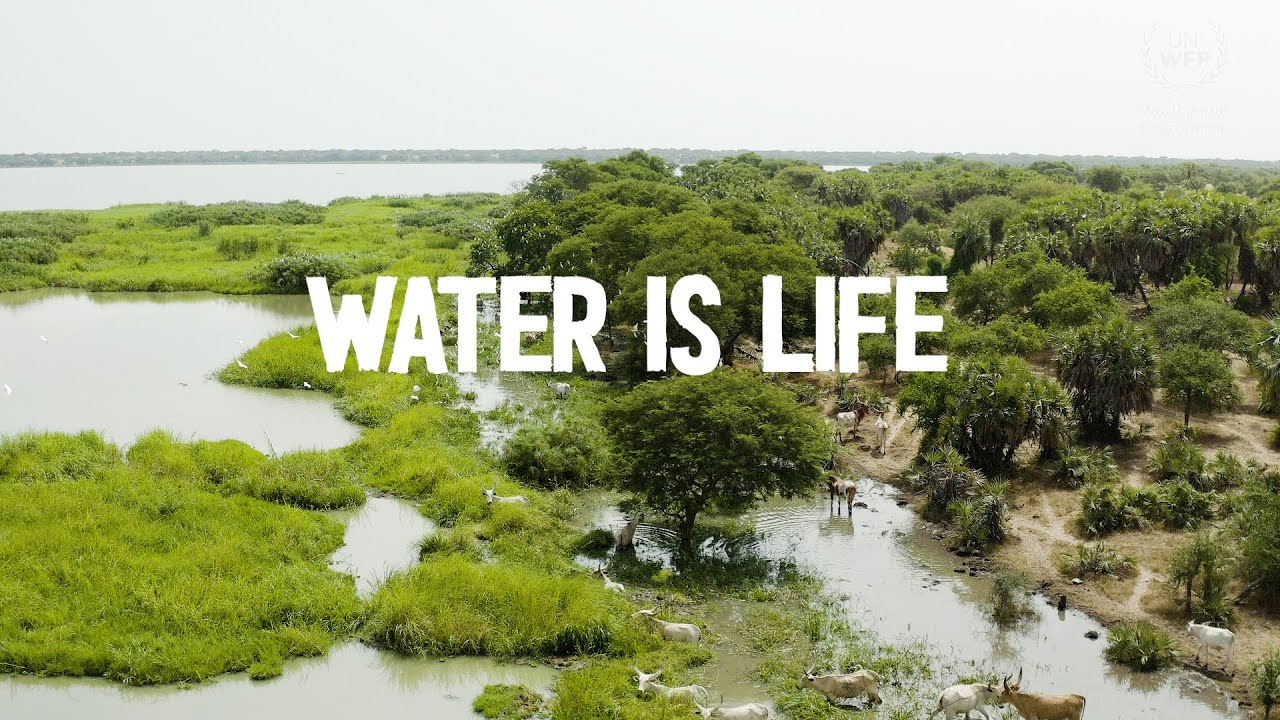 Climate Change in the Sahel 