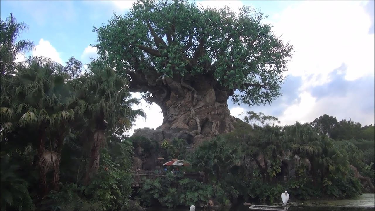 Disney's Animal Kingdom Walt Disney World Full Tour