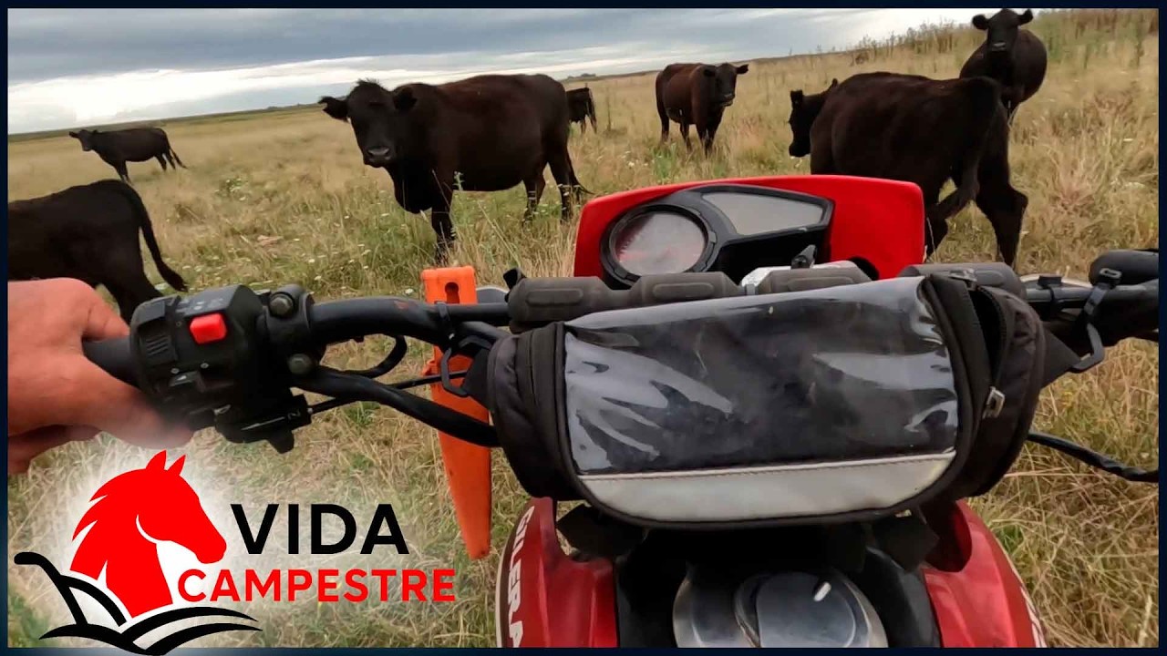 TRABAJOS RURALES NO PARAMOS Y ESPERAMOS LA LLUVIA