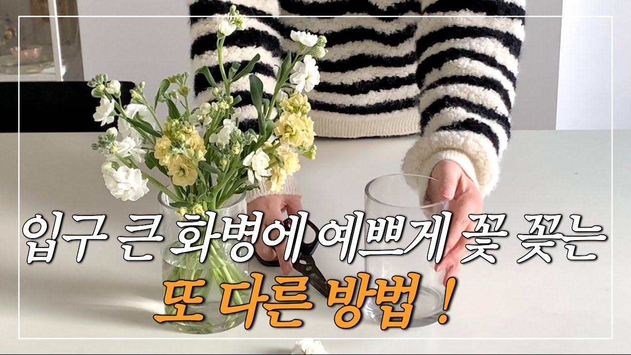 10년차 플로리스트가 알려주는 0원으로 입구 큰 화병에 예쁘게 꽃 꽂는 또 다른 방법 ㅣFlower Arrangement Tips 플로리스트 ㅣ꽃꽂이ㅣ화병꽂이ㅣ꽃ㅣ스토크