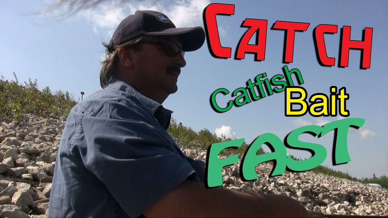 How to catch Skipjack Herring for Catfish bait