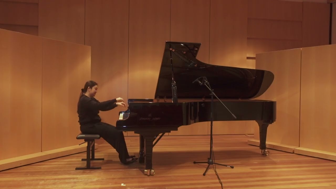 W. A. Mozart - Piano Sonata No. 9 in D Major, K. 311 1st mov.