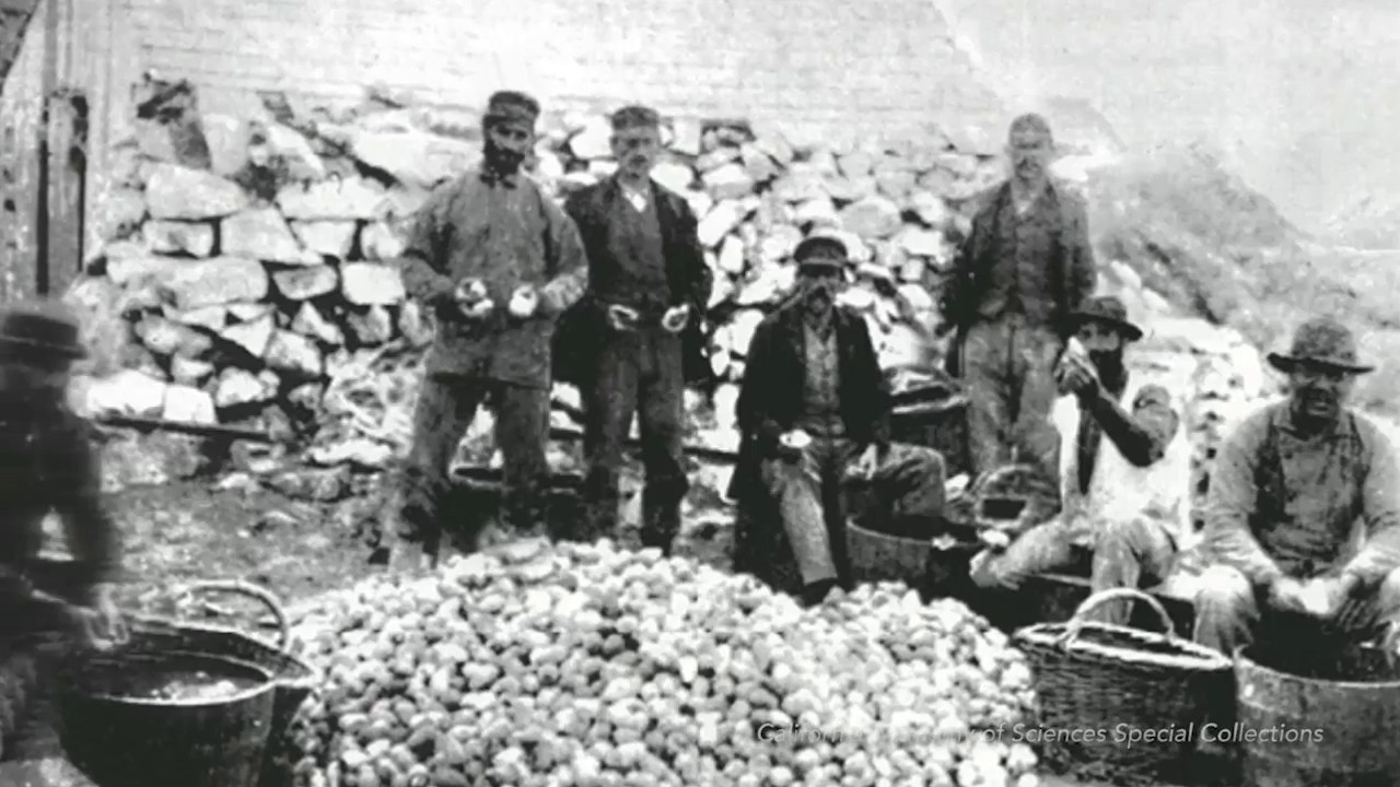 Farallon History