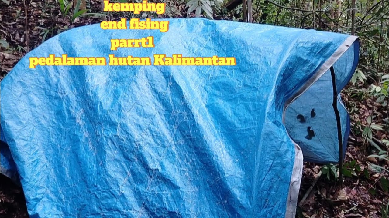 Parrt1 menelusuri hutan  Kalimantan dan mendirikan sehlter di pinggir sungai...!!!😯