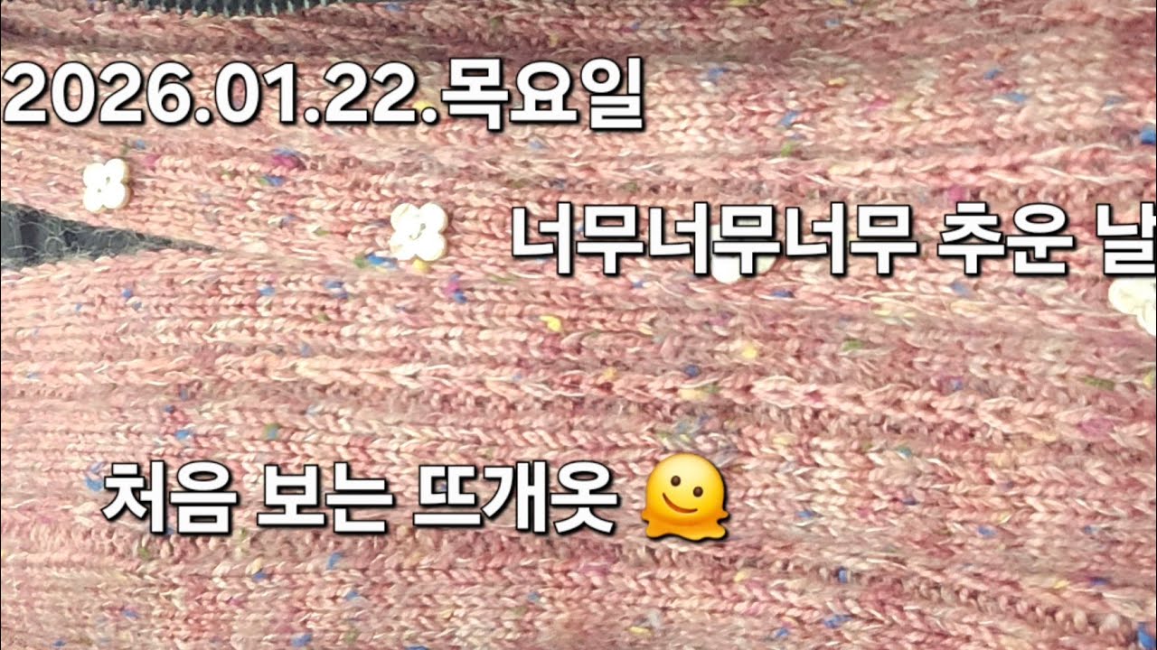 고양 구름다육 라이브 방송