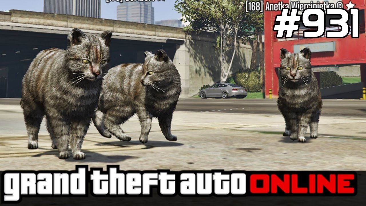 GTA 5 PC Online Po Polsku [#931] KOTY Domowe w MIEŚCIE /z Paweł & Bertbert