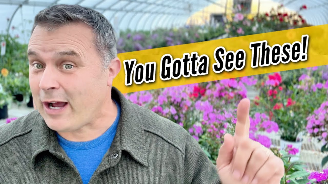 Nursery Walkabout: You Gotta See My Late-Season Favorites