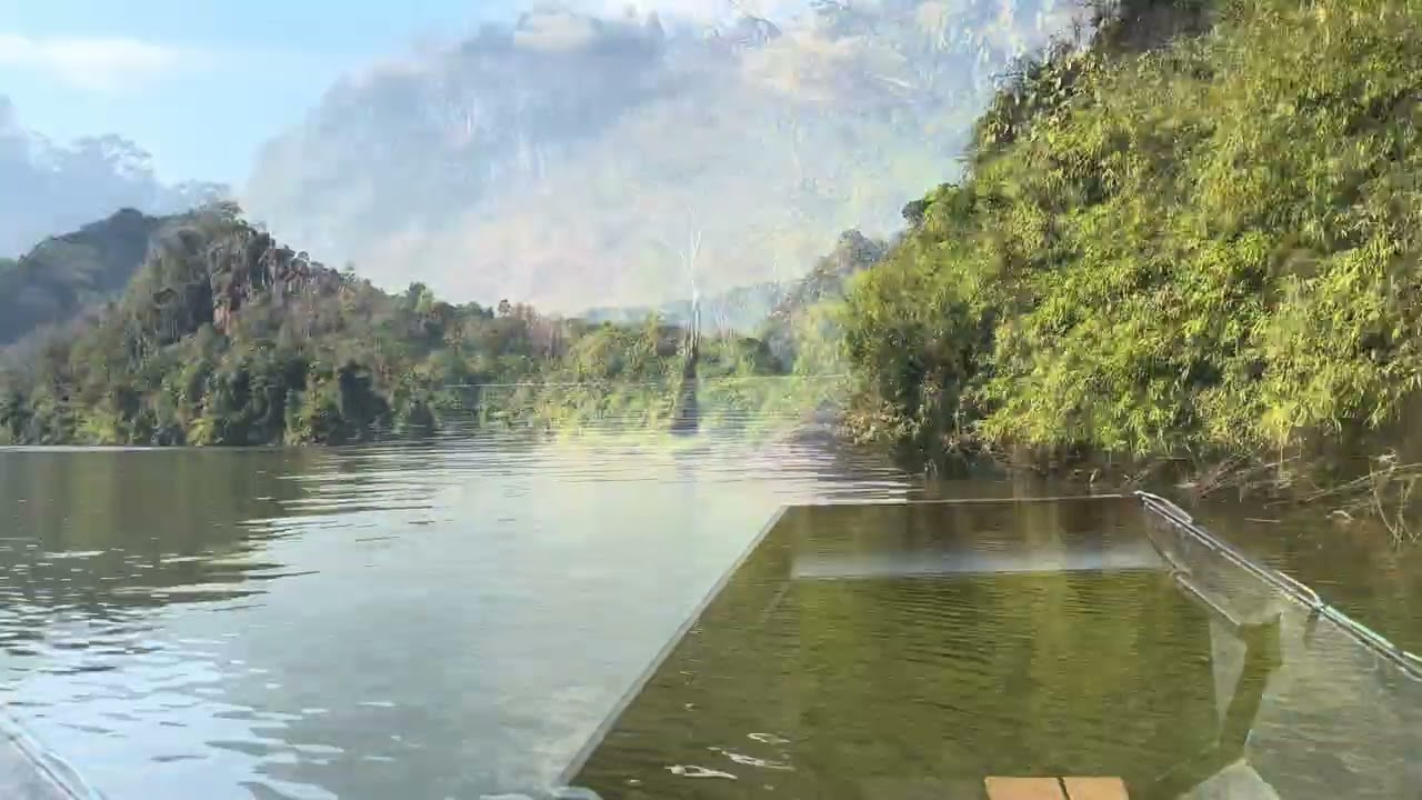 Phrao ,Trees in the lake
