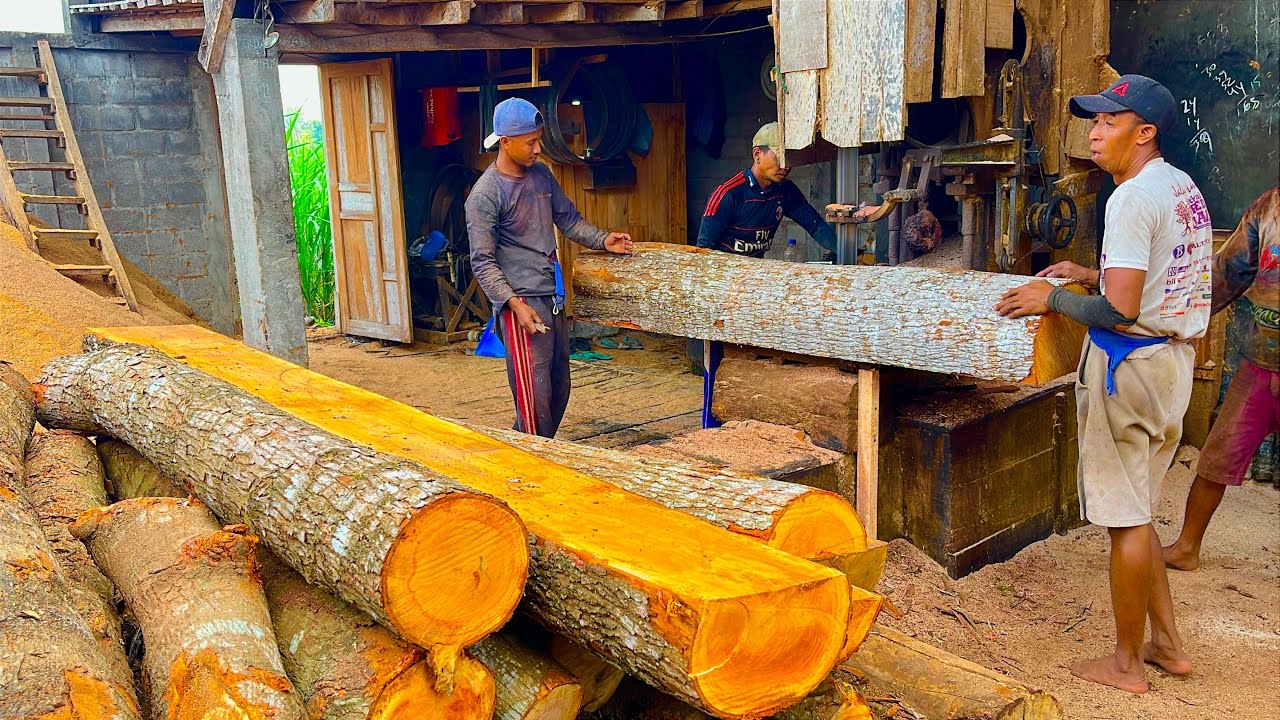 The Excessive Vigor of Sawing Two Pieces of Monster Mahogany Sold Out Instantly