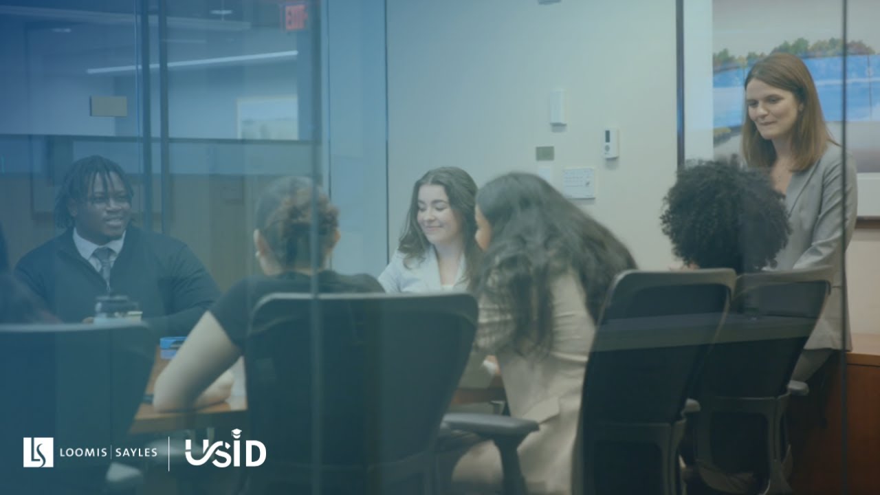 The Undergraduate Summer Internship Development Program