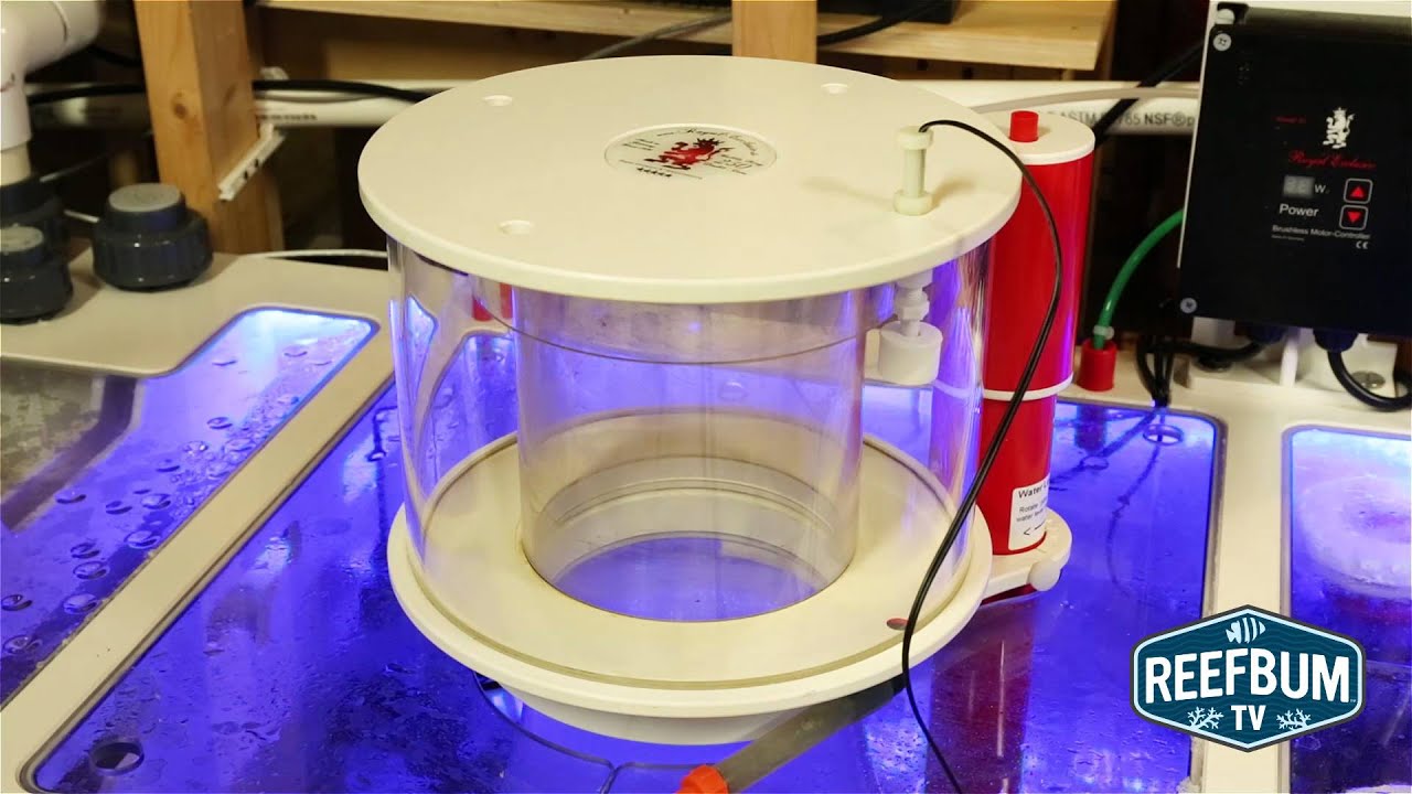 How to Avoid a Skimming Disaster With a Float Switch