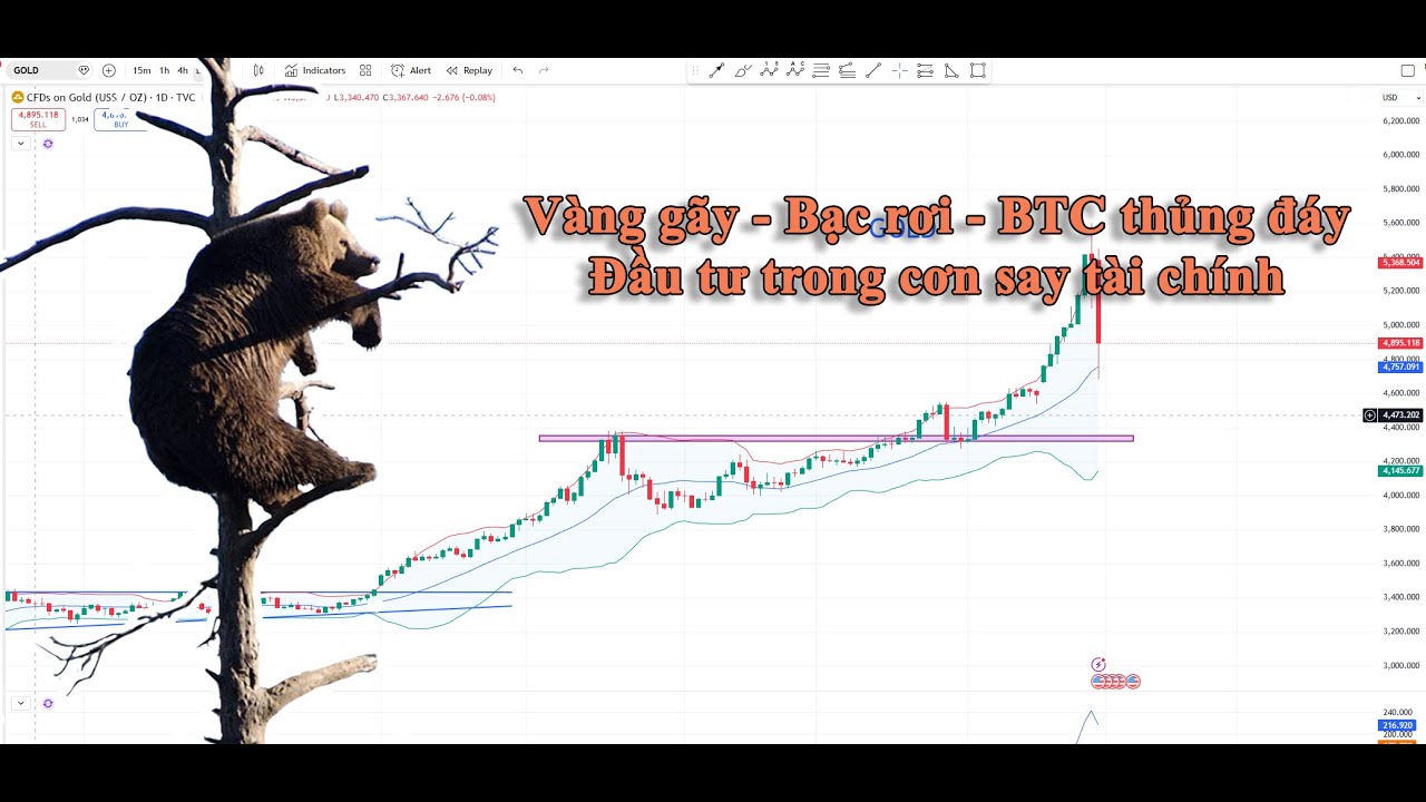 Vnindex 01/02: Đầu tư trong cơn say tài chính